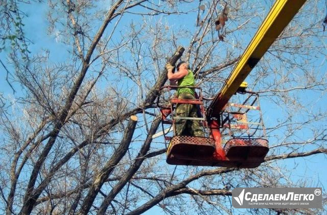 Спил деревьев и кустарников Курган - изображение 1