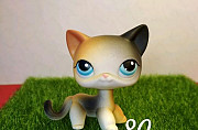 Littlest Pet Shop кошка стоячка, редкая Иркутск