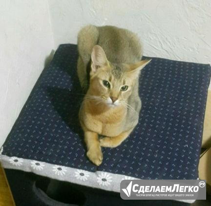 Теплый и уютный дом для кошки / выращивания котят Москва - изображение 1