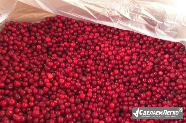Брусника Пермь - изображение 1
