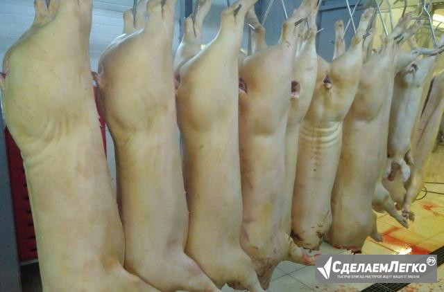Свинина оптом п/т охл Москва - изображение 1