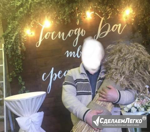 Пшеница колосья для декора Москва - изображение 1
