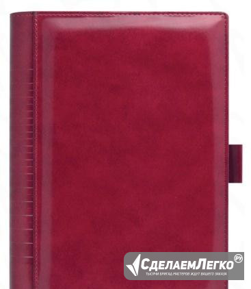Портфолио нью-йорк, 145x205 мм, цвет красный Москва - изображение 1