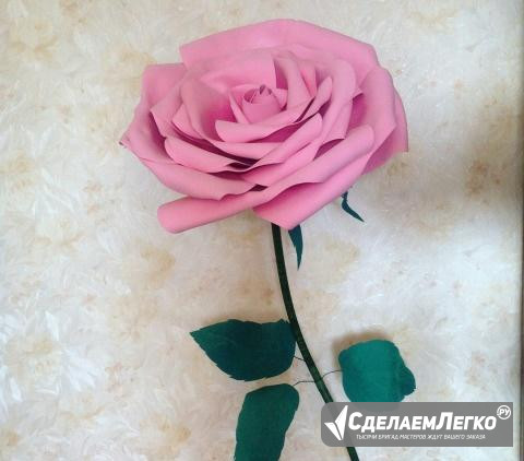 Ростовые цветы Казань - изображение 1