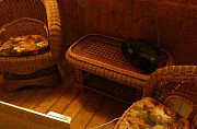 Шикарный набор плетёной мебели Иваново