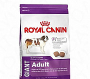 Корм для собак royal canin giant adult - 20kg Новороссийск