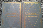 Лев Толстой в воспоминаниях современников 1,2 том Санкт-Петербург