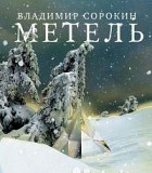 Метель Владимир Сорокин Москва