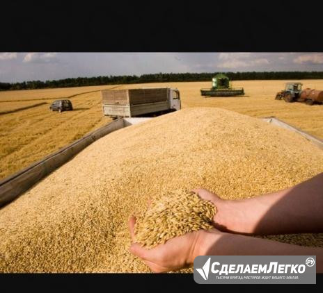 Комбикорма, зерно, сено, солома Иркутск - изображение 1
