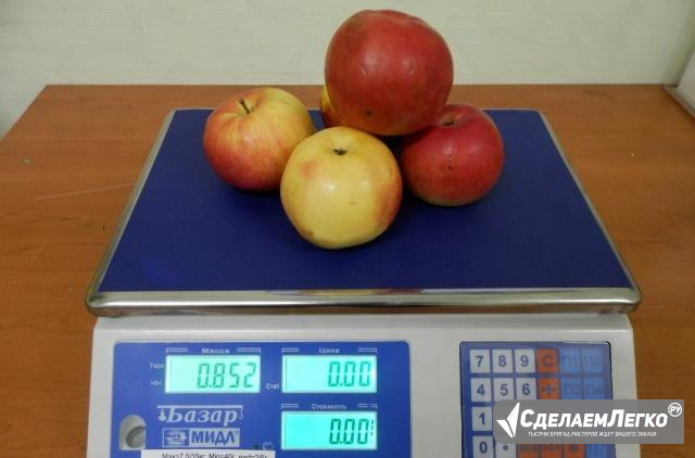 Весы торговые "Базар 2" 15 кг Кемерово - изображение 1