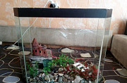 Продам аквариум 50л Челябинск