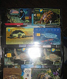 Телефонные карты с изображением черепах Калининград