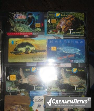 Телефонные карты с изображением черепах Калининград - изображение 1