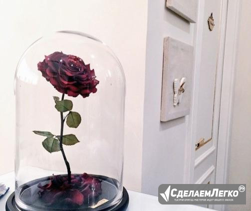 Розы в колбе арт-172 Архангельск - изображение 1