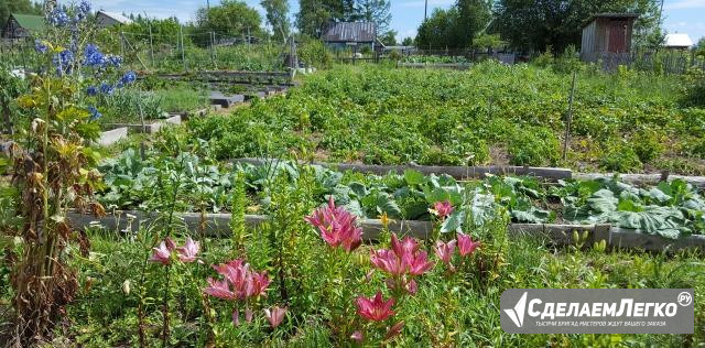 Участок 8.5 сот. (СНТ, ДНП) Комсомольск-на-Амуре - изображение 1