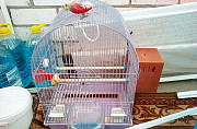 Коляска детская,кроватка и клетка для попугая Зеленодольск