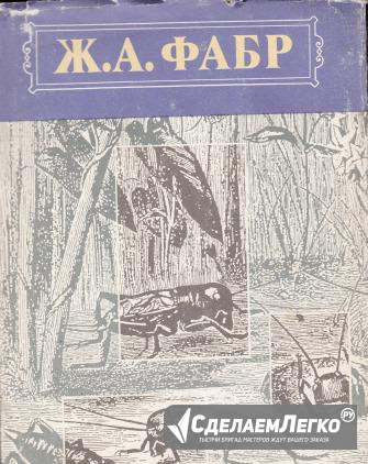 Все о насекомых, зверушках и аквариумных рыбках Курган - изображение 1