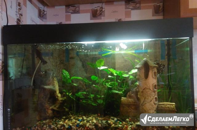 Продам аквариум с тумбой Татарск - изображение 1