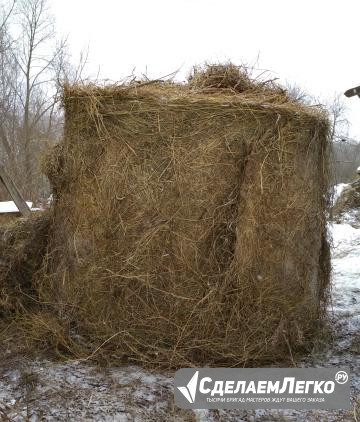 Сено в рулонах 500кг Одоев - изображение 1