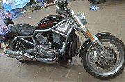 Harley-Davidson vrscr V-Rod Street Rod Москва