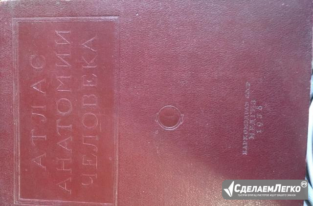 Атлас анатомии человека Симферополь - изображение 1