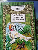 Белый Бим,черное ухо Санкт-Петербург