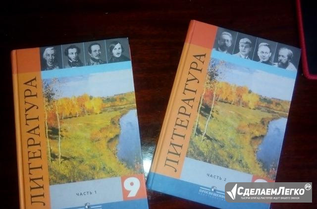 Литература 9 класс "Просвещение" 1 и 2 часть Самара - изображение 1