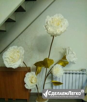Ростовые цветы Чернушка - изображение 1