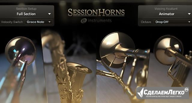 Native instruments session horns лицензия Сочи - изображение 1