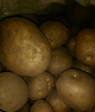 Картошка деревенская, вкусная. Доставка Зеленодольск