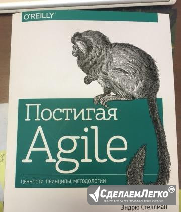 Постигая Agile ценности, принципы, методологии Москва - изображение 1