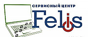 Сц "Felis" Ремонт электроники Хабаровск
