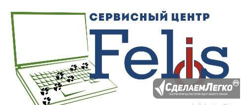 Сц "Felis" Ремонт электроники Хабаровск - изображение 1