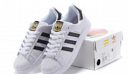 Кроссовки Adidas superstar white/Black Москва
