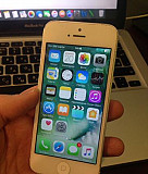 iPhone 5 16gb белый Волгоград