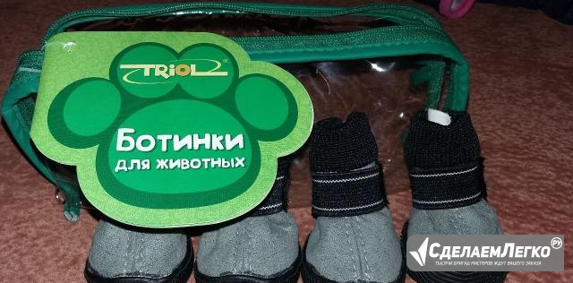 Ботиночки для маленькой собачки Петропавловск-Камчатский - изображение 1