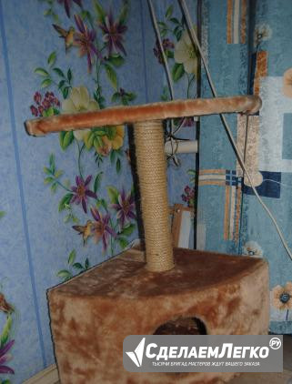Дом для кошки Торжок - изображение 1