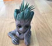 Грут Воронеж