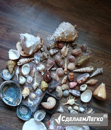 Коллекция раковин Симферополь - изображение 1