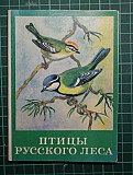Набор открыток Птицы русского леса Санкт-Петербург
