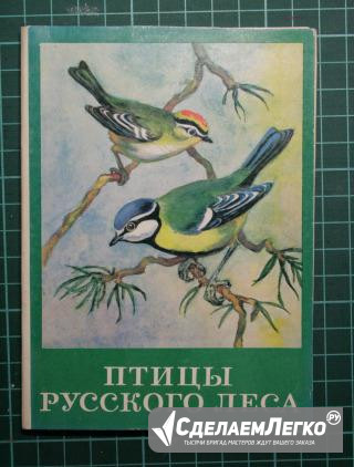 Набор открыток Птицы русского леса Санкт-Петербург - изображение 1