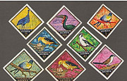 Гвинея, фауна, птицы 1971 год Чебоксары