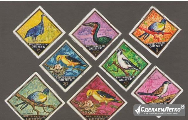 Гвинея, фауна, птицы 1971 год Чебоксары - изображение 1