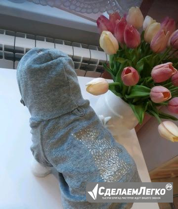 Кофта для собаки Нижний Новгород - изображение 1