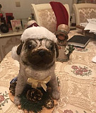 Валяные игрушки Севастополь