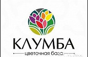 Дневной продавец-кассир цветов Казань