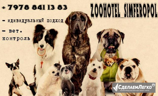 Передержка животных. Профессиональный уход Симферополь - изображение 1