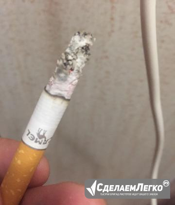 Бычёк camel Самара - изображение 1