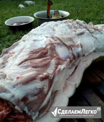 Мясо вьетнамских вислобрюх поросят Санкт-Петербург - изображение 1