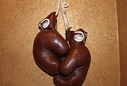Старинные боксерские перчатки гдр Мурманск